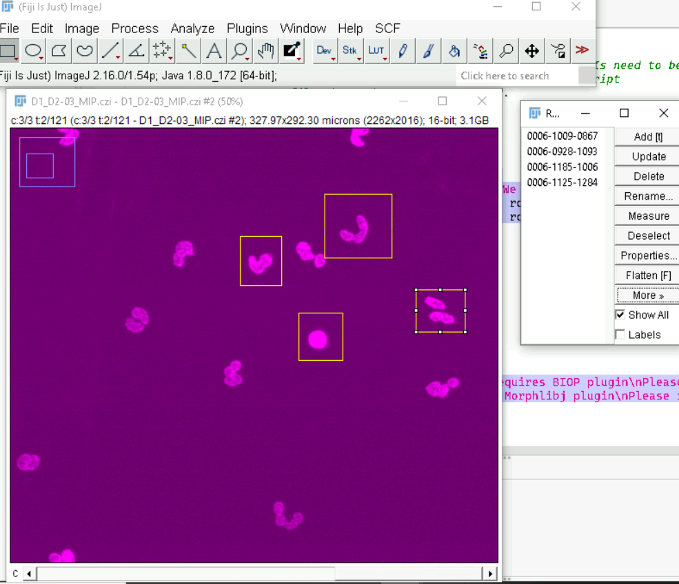 annotate_MIP